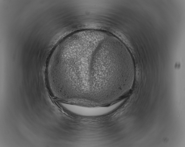 X0000090610434200707311225