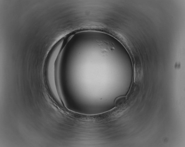 X0000090610435200707311225