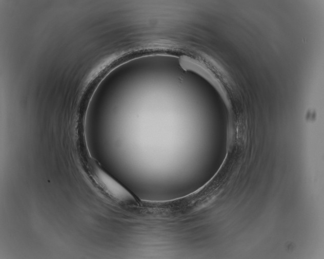 X0000090610436200707311225