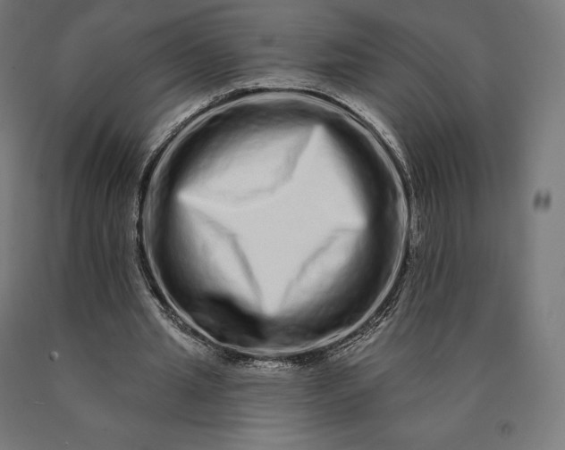 X0000090610437200707311225