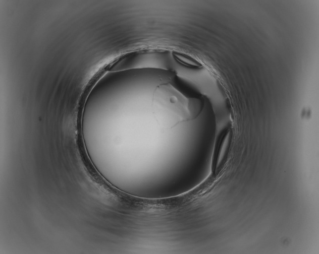 X0000090610438200707311225