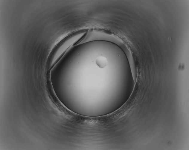 X0000090610440200707311225