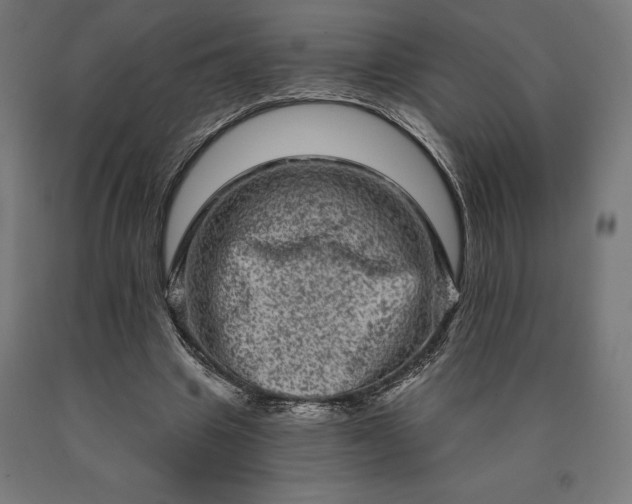 X0000090610441200707311225