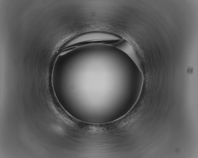 X0000090610442200707311225