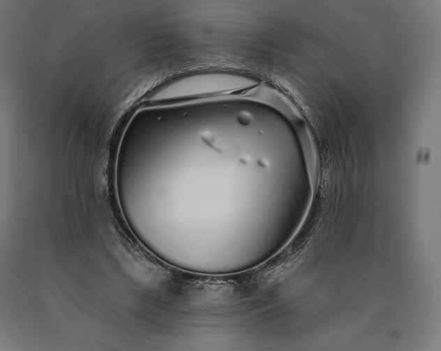 X0000090610443200707311225