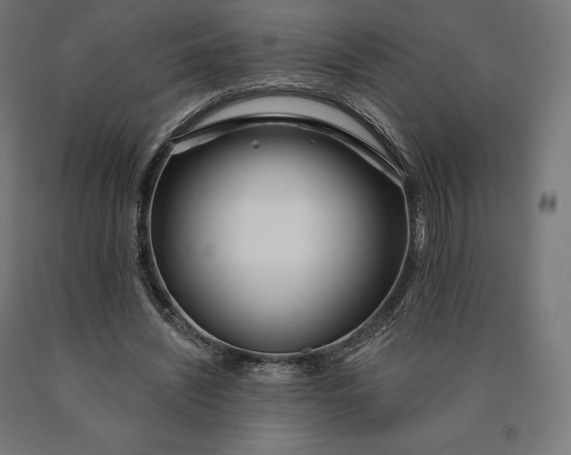 X0000090610444200707311225