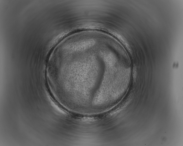 X0000090610445200707311225