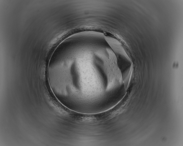 X0000090610446200707311225