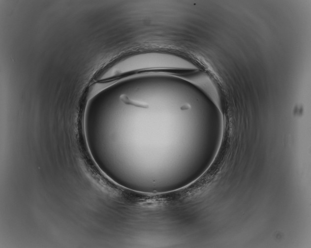 X0000090610447200707311225