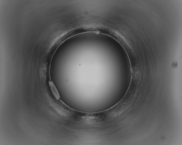 X0000090610448200707311225