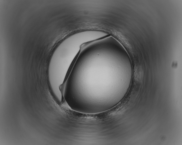 X0000090610449200707311225