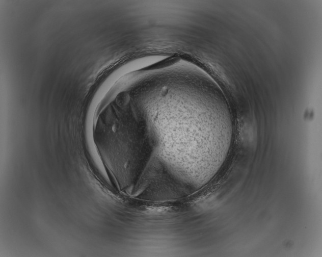 X0000090610450200707311225