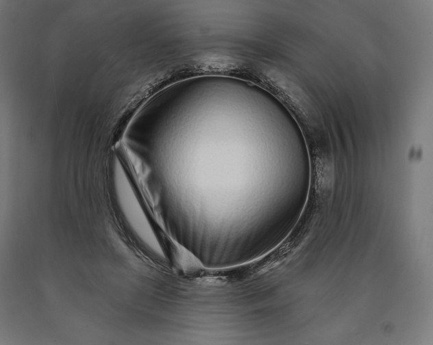 X0000090610451200707311225