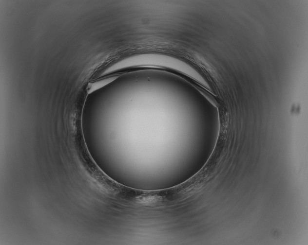 X0000090610452200707311225