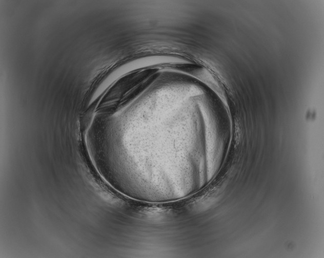 X0000090610453200707311225