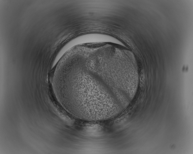 X0000090610454200707311225