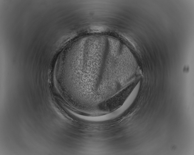 X0000090610455200707311225