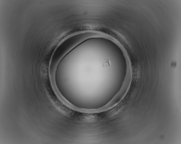 X0000090610456200707311225