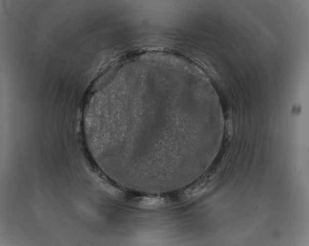 X0000090610458200707311226