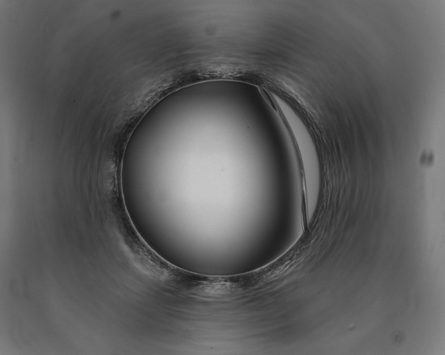 X0000090610459200707311226