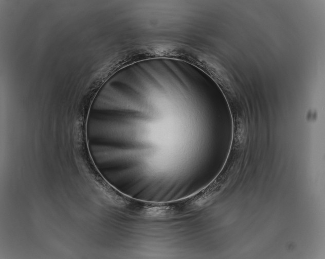 X0000090610461200707311226