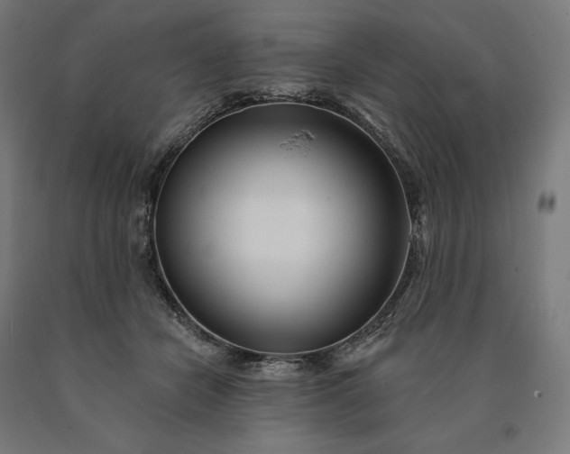 X0000090610462200707311226