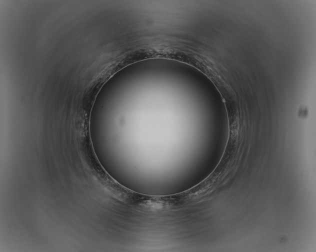 X0000090610464200707311226