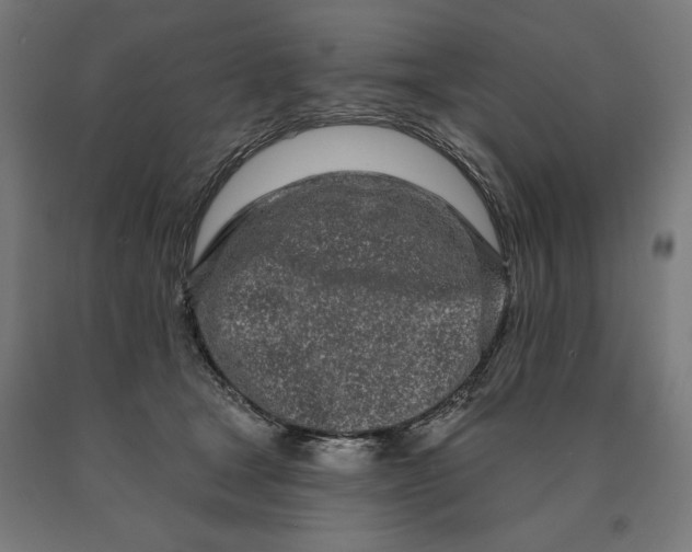 X0000090610465200707311226