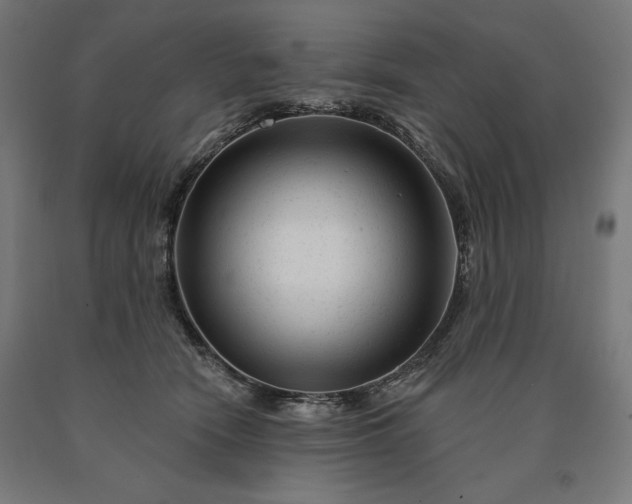 X0000090610466200707311226