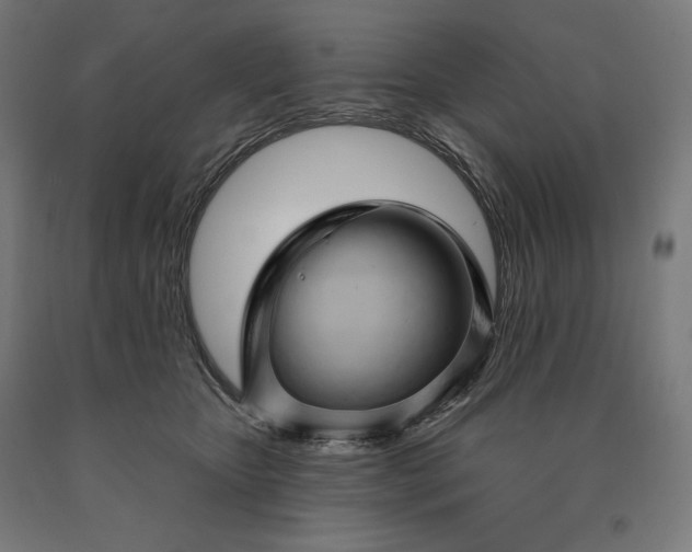 X0000090610467200707311226