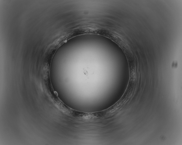 X0000090610468200707311226