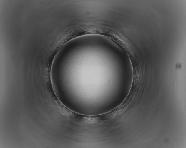 X0000090610469200707311226