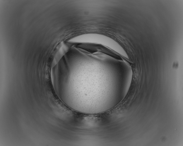 X0000090610470200707311226