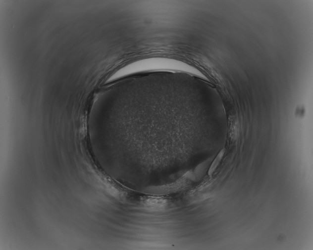 X0000090610471200707311226