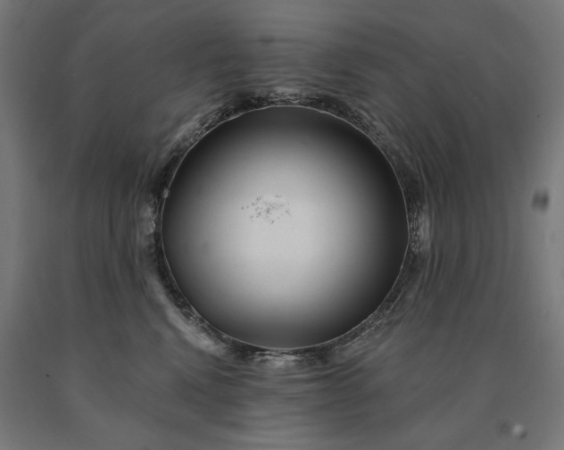 X0000090610472200707311226