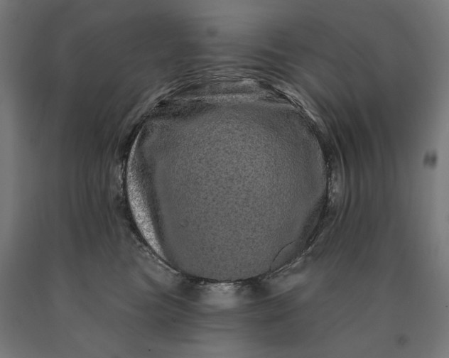 X0000090610473200707311226