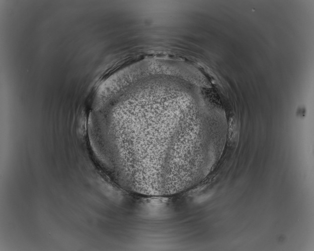 X0000090610474200707311226