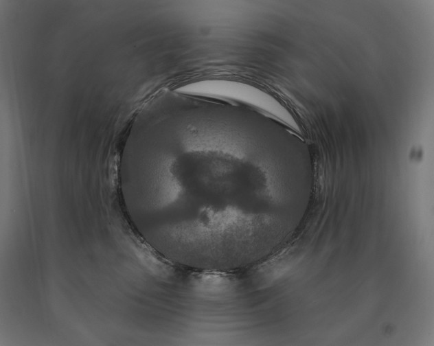 X0000090610475200707311226