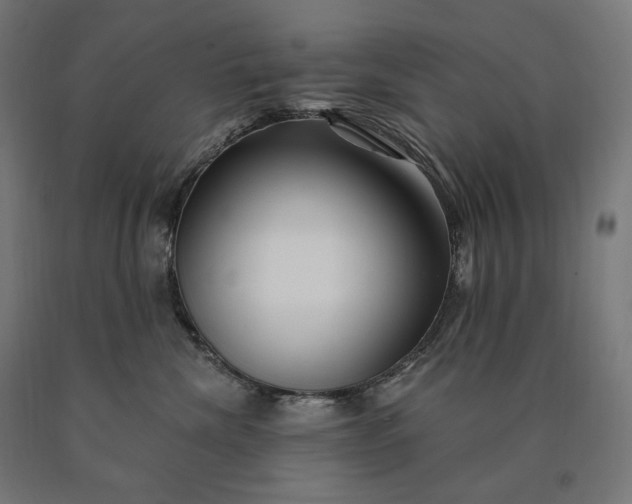 X0000090610476200707311226