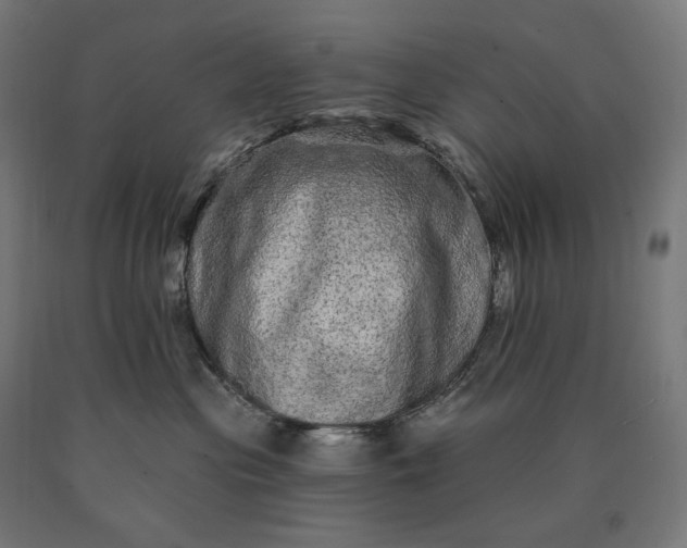 X0000090610477200707311226