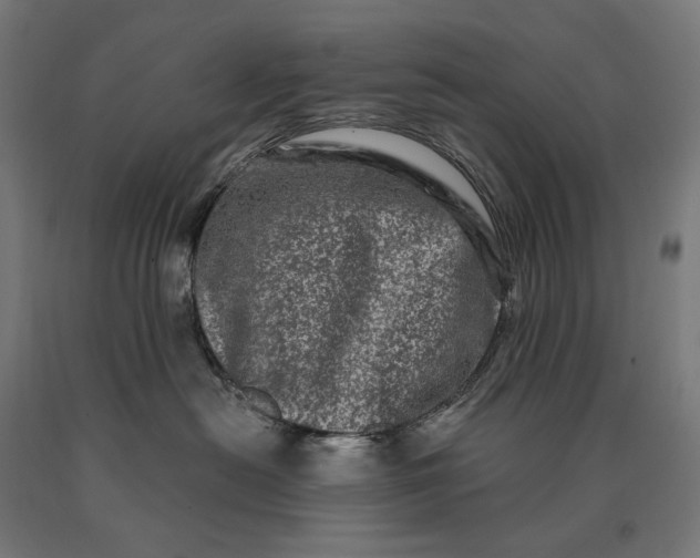 X0000090610478200707311226