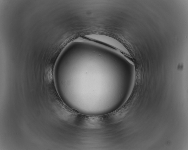 X0000090610479200707311226