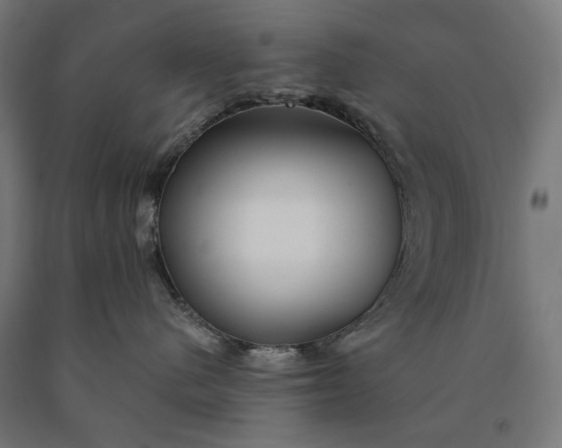 X0000090610480200707311226