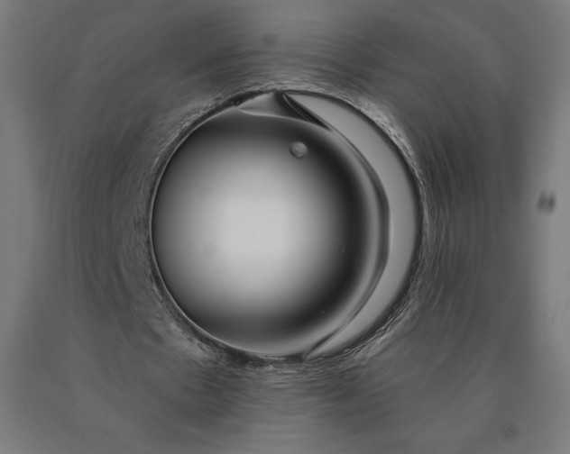 X0000090610481200707311225