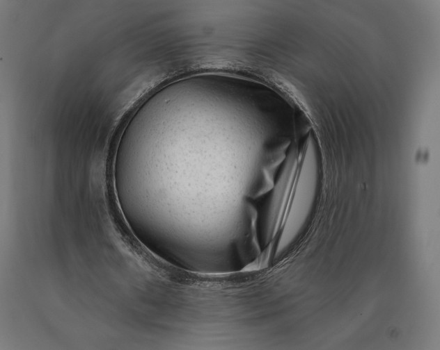 X0000090610482200707311225