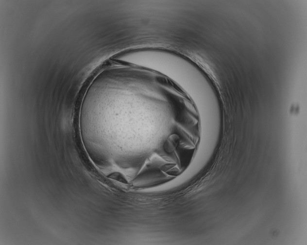 X0000090610483200707311225