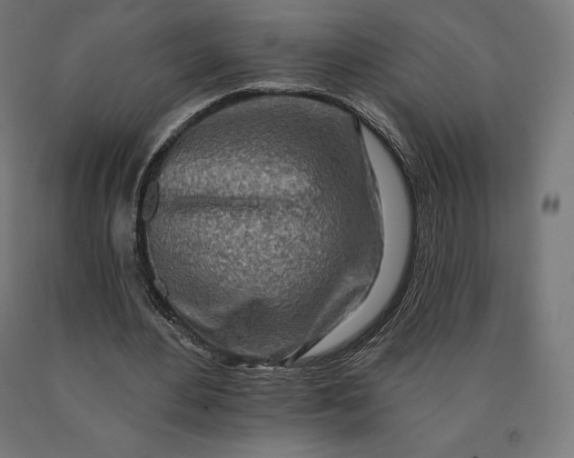 X0000090610484200707311225