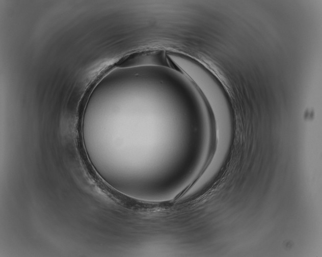 X0000090610485200707311225