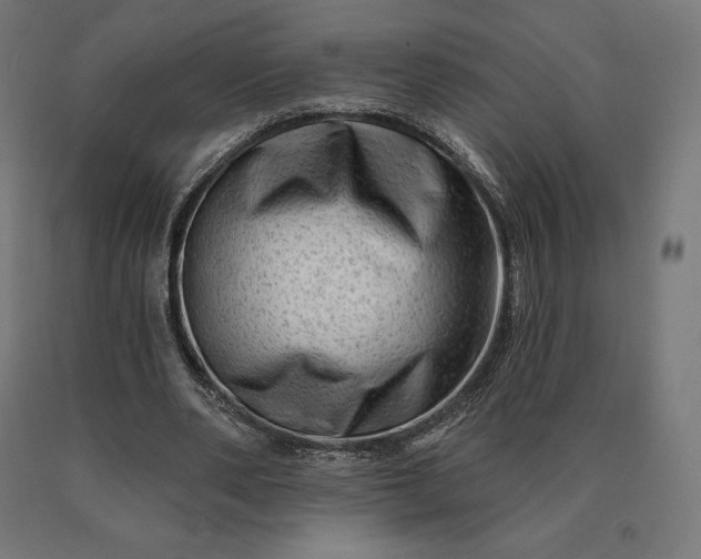 X0000090610486200707311225