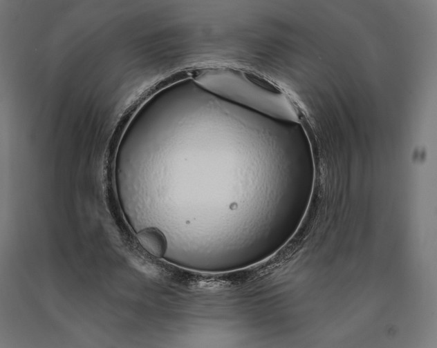 X0000090610487200707311225